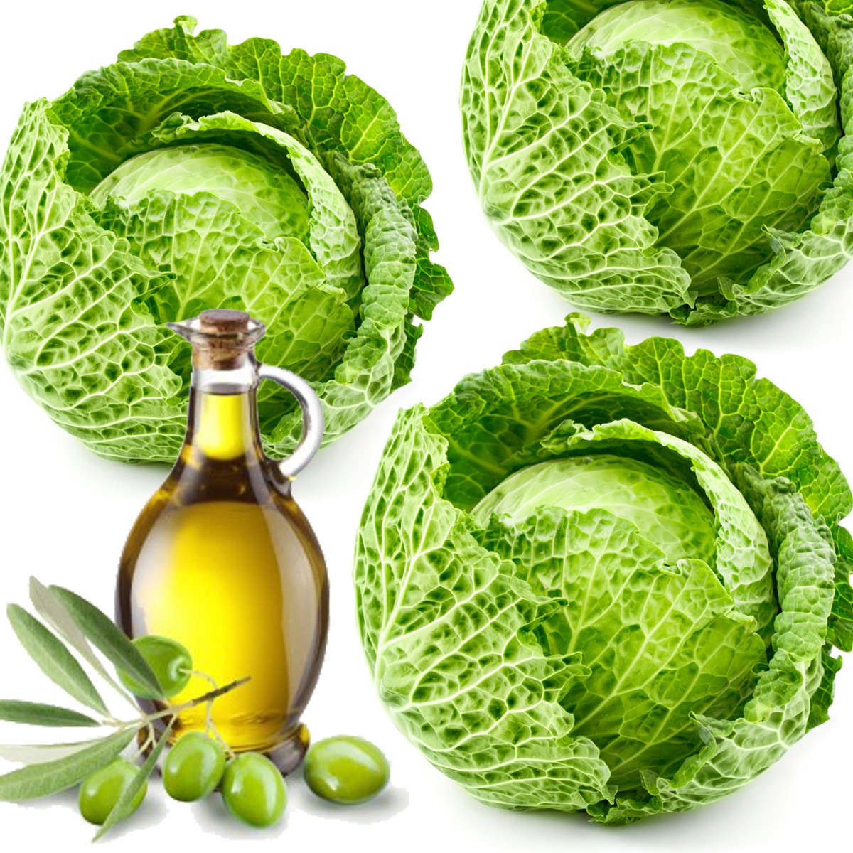 Verza cruda in vasetto Verza sale aceto e olio Cabbage in oil Kohl in Öl  Verza come conservarla 
