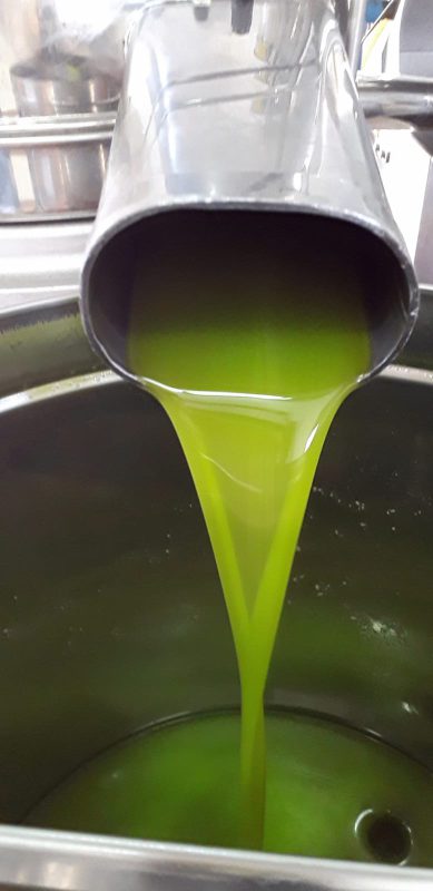 olio extravergine di oliva da agricoltura biologica
